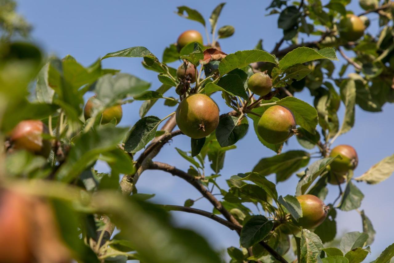 De Notenboom Meliskerke Экстерьер фото